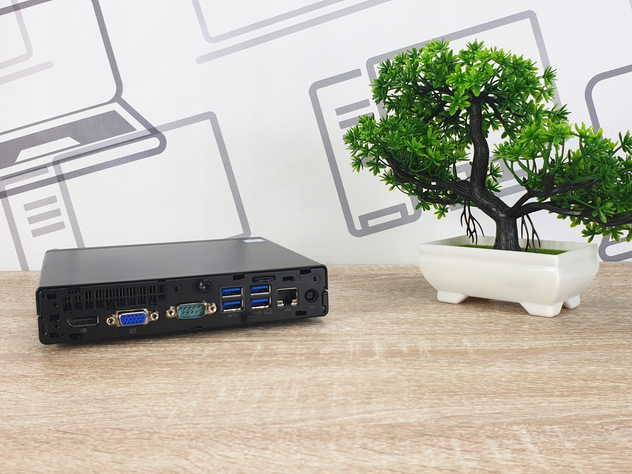 Tylny panel komputera HP EliteDesk 800 G2 Tiny z portami VGA, USB i sieciowym, obok ozdobne drzewko bonsai.