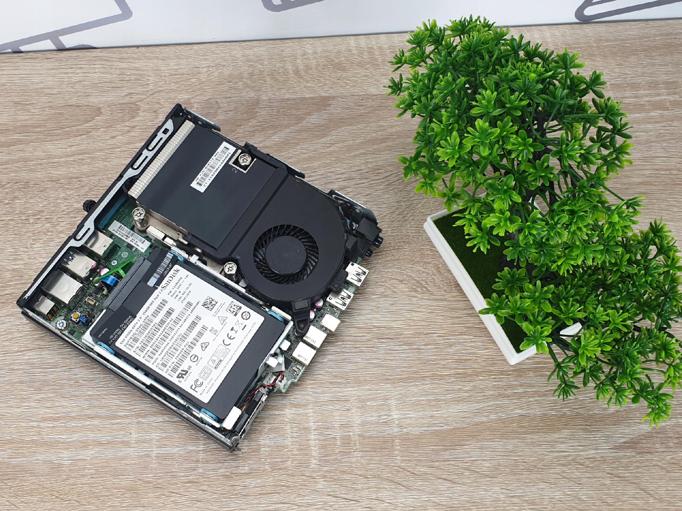 Otwarta obudowa HP EliteDesk 800 G2 Tiny z widocznym dyskiem SSD, wentylatorem i płytą główną, obok dekoracyjna roślinka.