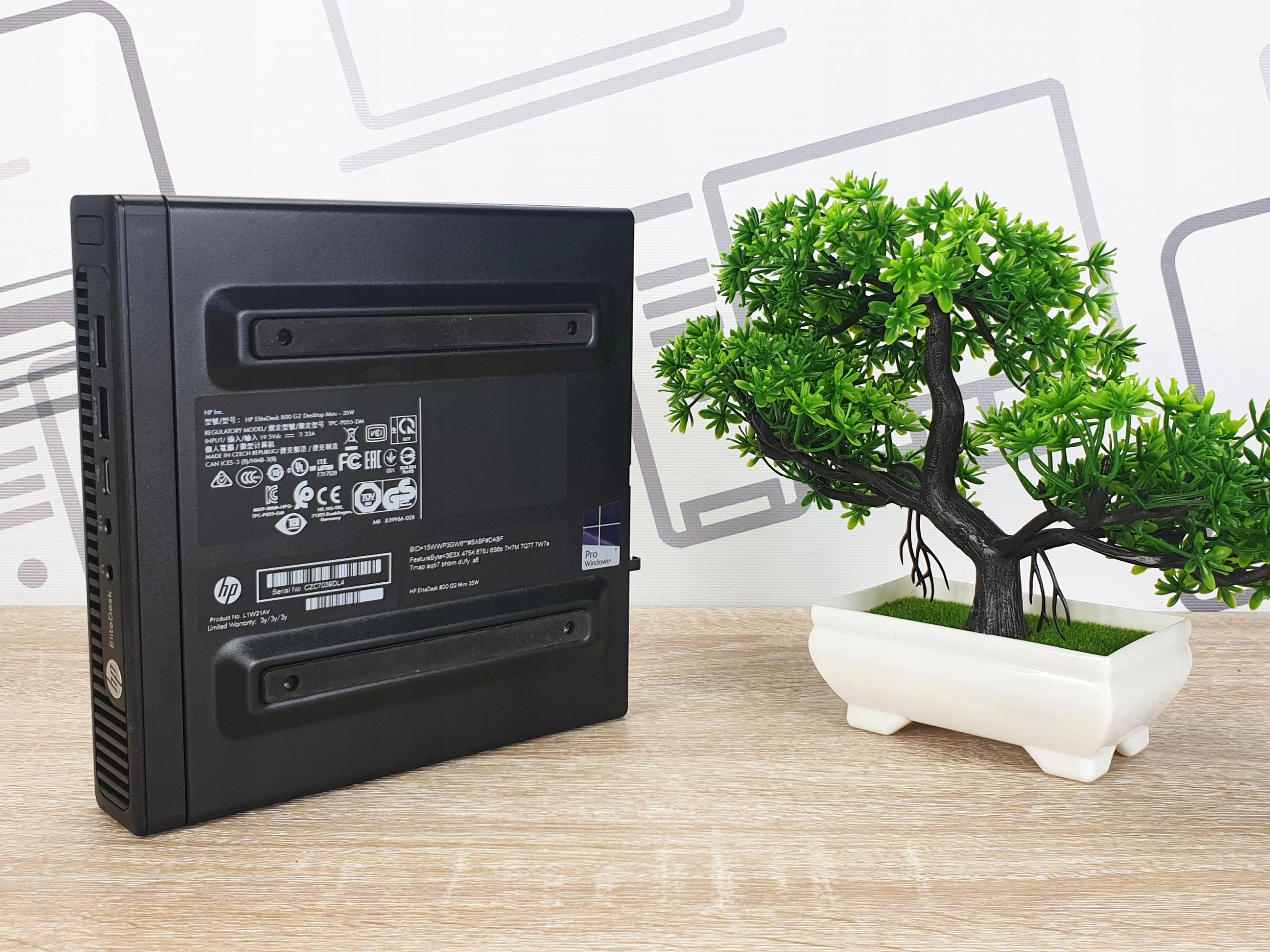 Boczny widok obudowy HP EliteDesk 800 G2 Tiny z tabliczką znamionową, obok dekoracyjne drzewko bonsai na biurku.